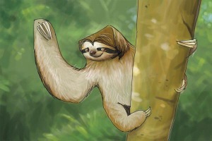 Sloth copy